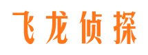 台儿庄侦探公司